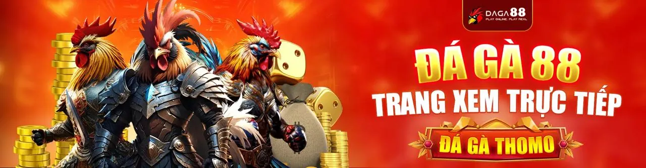 Đá gà trực tuyến Vnew88 - Sân đấu kịch tính